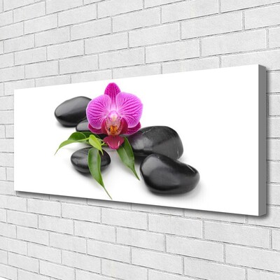 Canvas Kunstdruck Blumen Steine Kunst