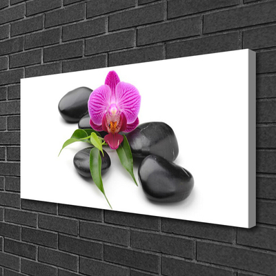 Canvas Kunstdruck Blumen Steine Kunst