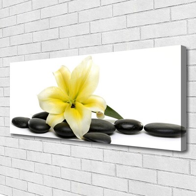 Canvas Kunstdruck Blume Steine Kunst