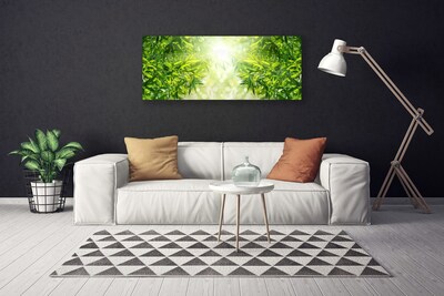 Canvas Kunstdruck Blätter Natur