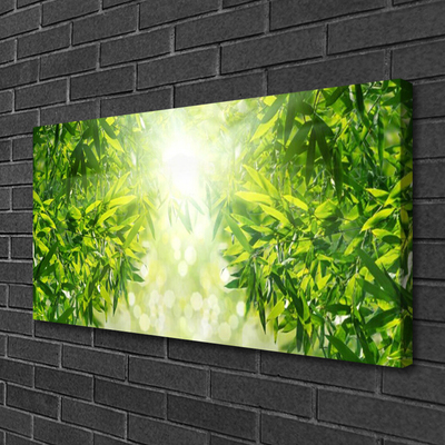 Canvas Kunstdruck Blätter Natur