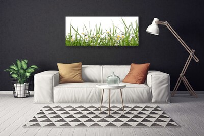 Canvas Kunstdruck Gras Gänseblümchen Natur