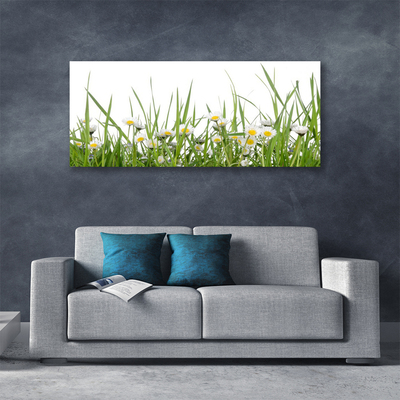 Canvas Kunstdruck Gras Gänseblümchen Natur