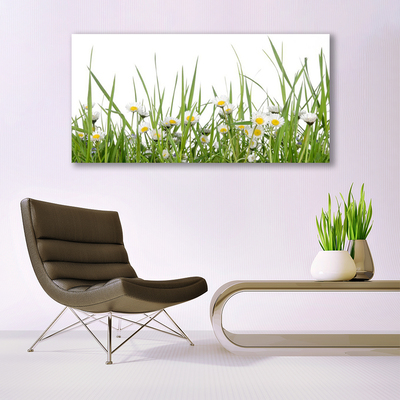 Canvas Kunstdruck Gras Gänseblümchen Natur