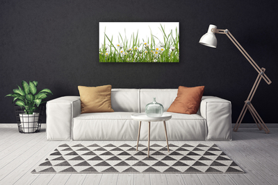 Canvas Kunstdruck Gras Gänseblümchen Natur