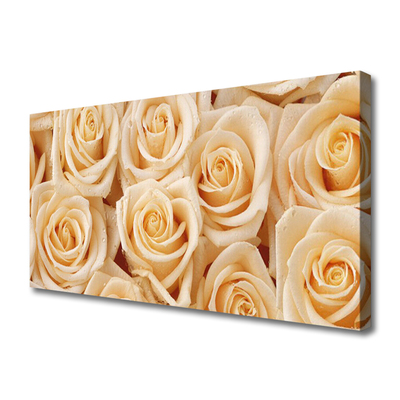 Canvas Kunstdruck Rosen Pflanzen