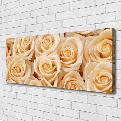 Canvas Kunstdruck Rosen Pflanzen