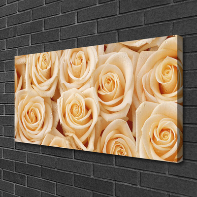 Canvas Kunstdruck Rosen Pflanzen