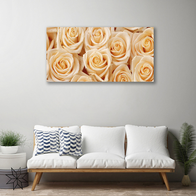 Canvas Kunstdruck Rosen Pflanzen