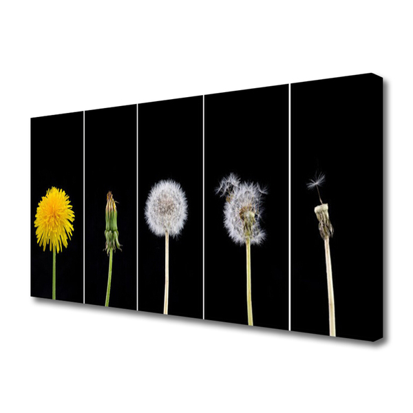 Canvas Kunstdruck Pusteblume Löwenzahn Pflanzen