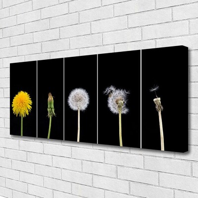 Canvas Kunstdruck Pusteblume Löwenzahn Pflanzen