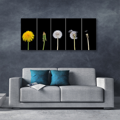 Canvas Kunstdruck Pusteblume Löwenzahn Pflanzen