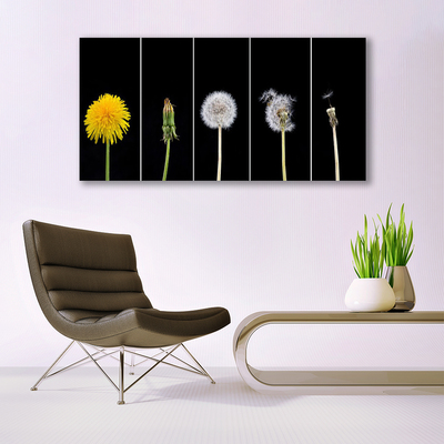 Canvas Kunstdruck Pusteblume Löwenzahn Pflanzen