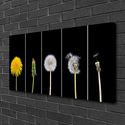 Canvas Kunstdruck Pusteblume Löwenzahn Pflanzen