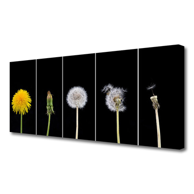 Canvas Kunstdruck Pusteblume Löwenzahn Pflanzen