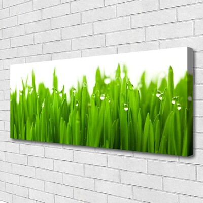 Canvas Kunstdruck Gras Natur