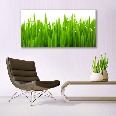 Canvas Kunstdruck Gras Natur