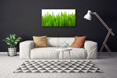 Canvas Kunstdruck Gras Natur