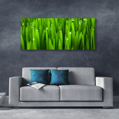 Canvas Kunstdruck Gras Natur