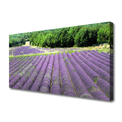 Canvas Kunstdruck Wiese Blumen Natur