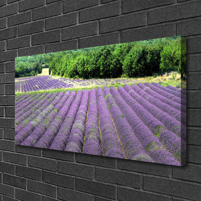 Canvas Kunstdruck Wiese Blumen Natur