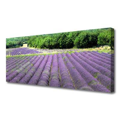 Canvas Kunstdruck Wiese Blumen Natur