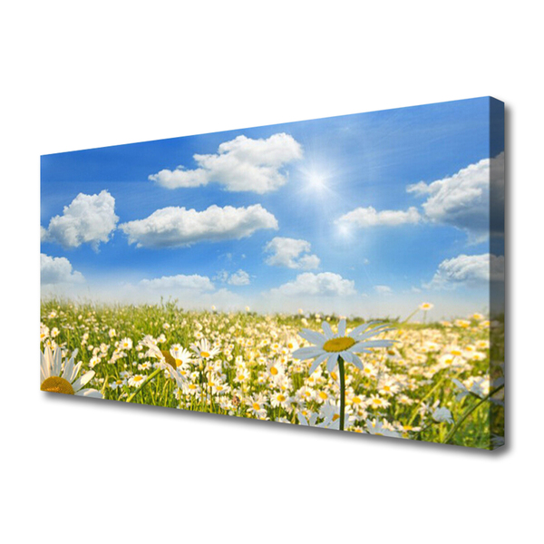 Canvas Kunstdruck Wiese Gänseblümchen Natur