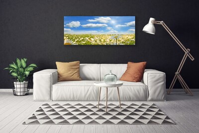 Canvas Kunstdruck Wiese Gänseblümchen Natur