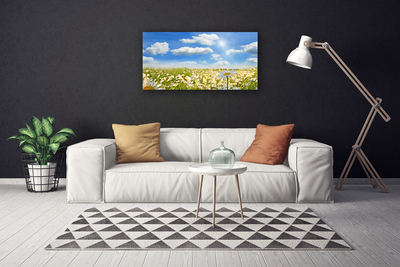 Canvas Kunstdruck Wiese Gänseblümchen Natur