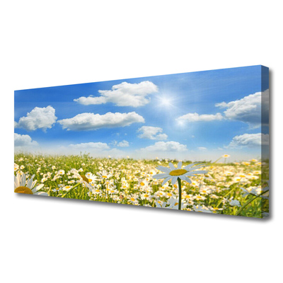 Canvas Kunstdruck Wiese Gänseblümchen Natur