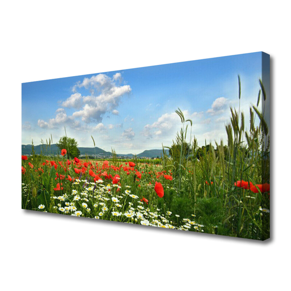 Leinwand-Bilder Wiese Blumen Natur