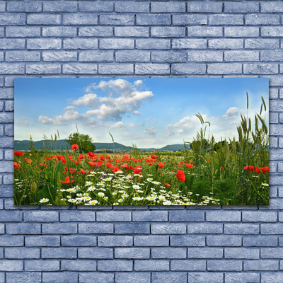 Leinwand-Bilder Wiese Blumen Natur