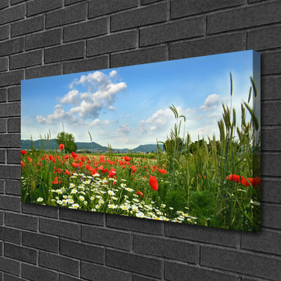 Leinwand-Bilder Wiese Blumen Natur