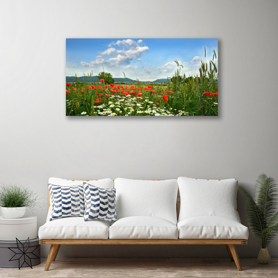 Leinwand-Bilder Wiese Blumen Natur