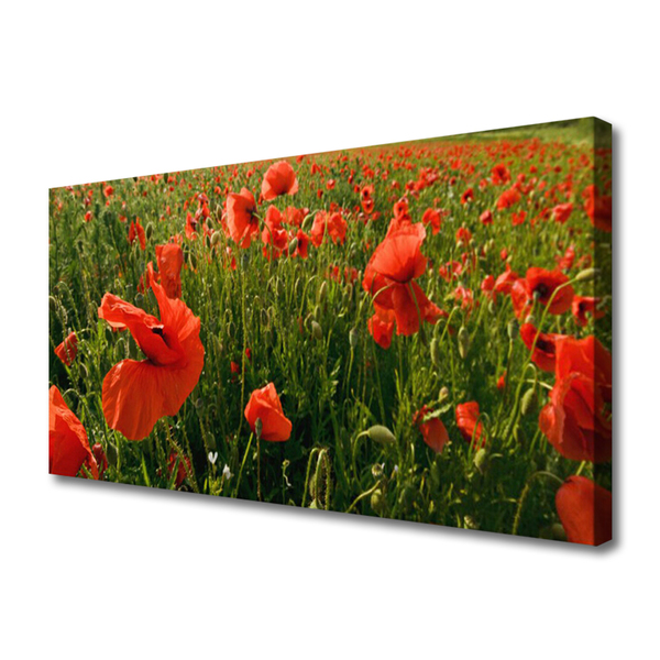 Leinwand-Bilder Mohnblumen Natur