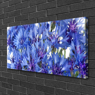 Leinwand-Bilder Blumen Pflanzen