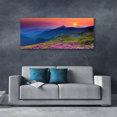 Leinwand-Bilder Gebirge Wiese Blumen Landschaft