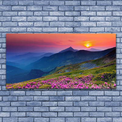 Leinwand-Bilder Gebirge Wiese Blumen Landschaft