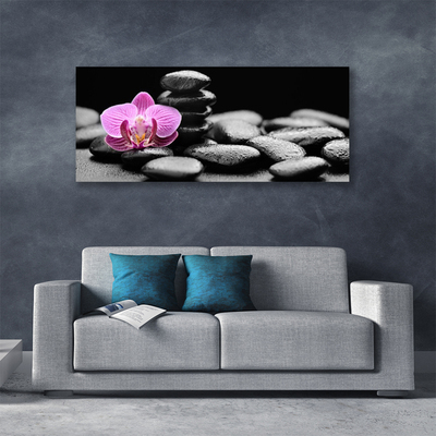 Leinwand-Bilder Blume Steine Kunst