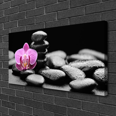 Leinwand-Bilder Blume Steine Kunst