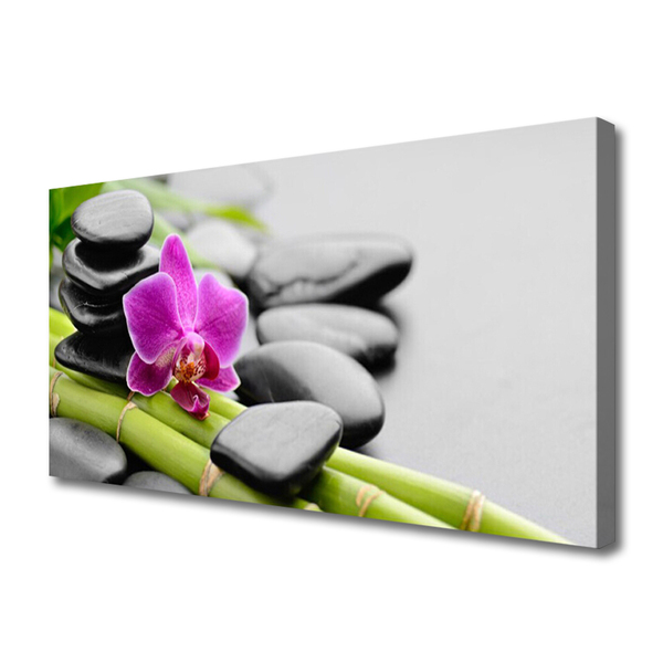 Leinwand-Bilder Bambusrohre Blume Steine Kunst