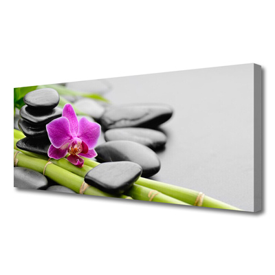 Leinwand-Bilder Bambusrohre Blume Steine Kunst