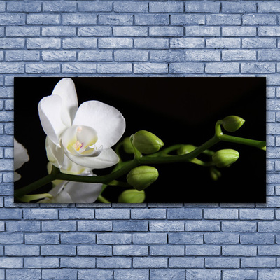 Leinwand-Bilder Blume Pflanzen