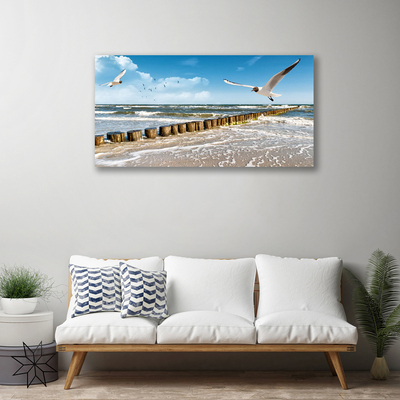 Leinwand-Bilder Möwen Meer Landschaft