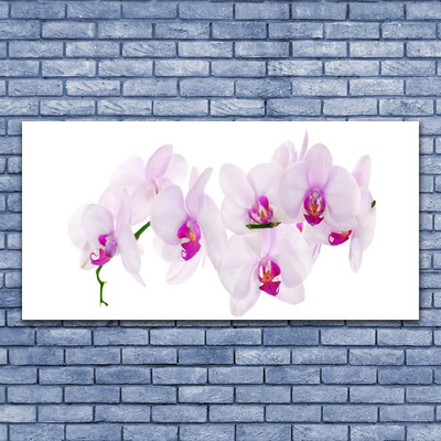 Leinwand-Bilder Blumen Pflanzen