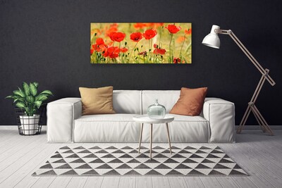 Leinwand-Bilder Mohnblumen Natur