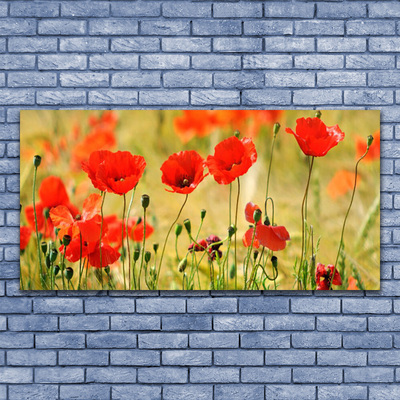 Leinwand-Bilder Mohnblumen Natur