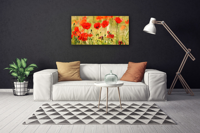 Leinwand-Bilder Mohnblumen Natur