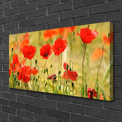 Leinwand-Bilder Mohnblumen Natur