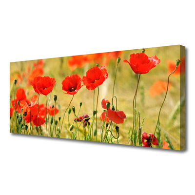 Leinwand-Bilder Mohnblumen Natur